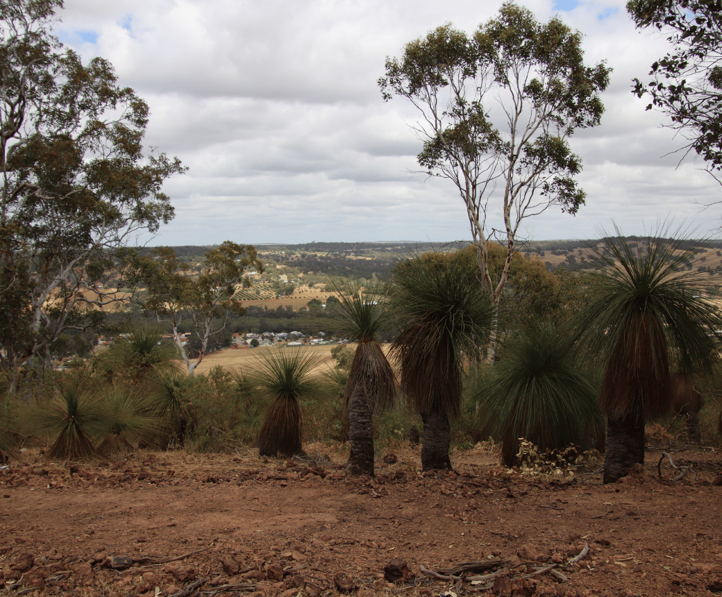Bindoon Mountain Bike Park - Trails WA