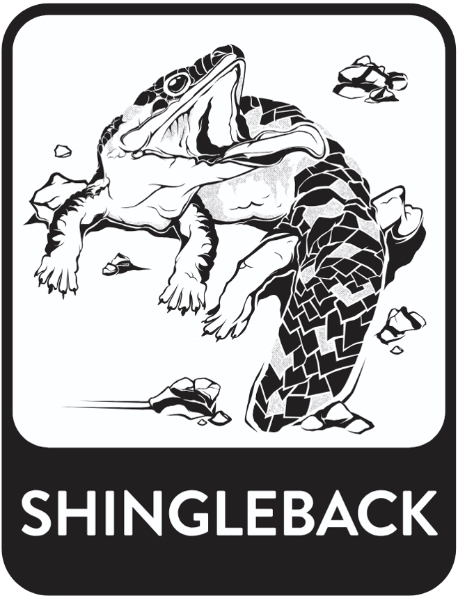 Shingleback, Dwellingup Mountain Bike Trails - Trails WA